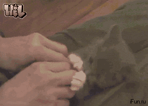 3babbf05f25f6eaaf37dc155dc795354.gif