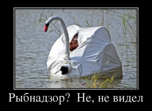81f03e88f9431af84a0c2257b6f.jpg