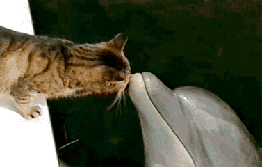 gifki_051_297421.gif