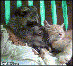 4616d78029ad32c61a1b073d4f9e3a7f.gif