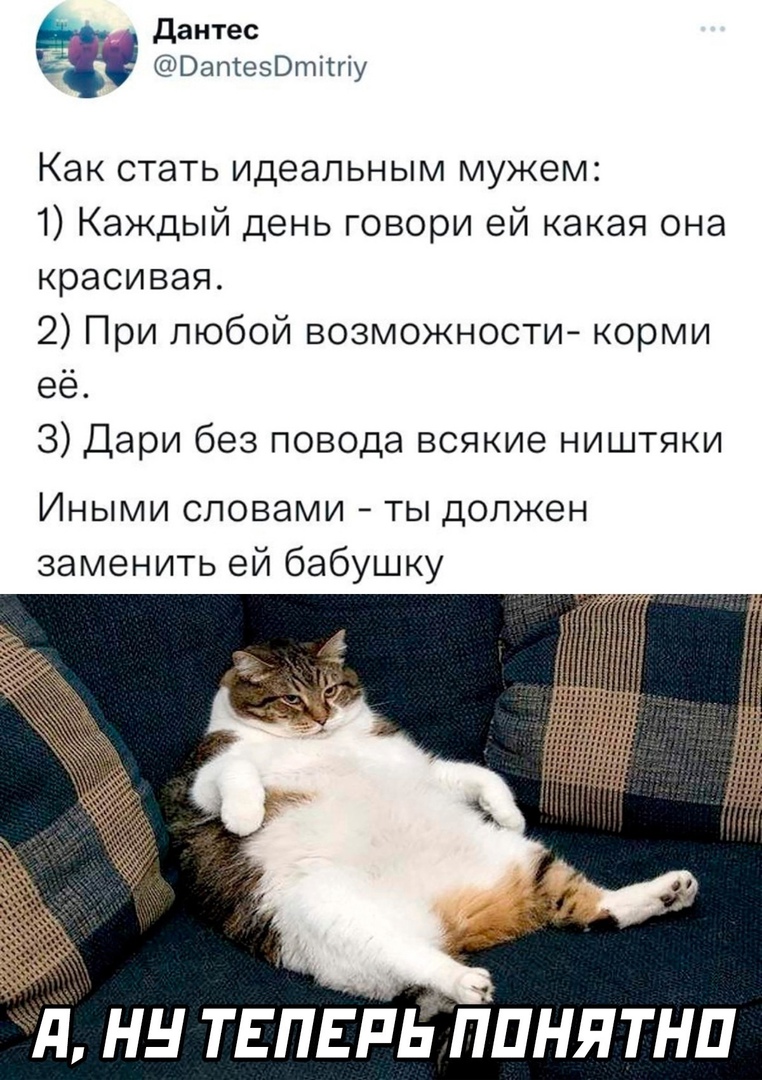 pJiGKxlOc0HU.jpg