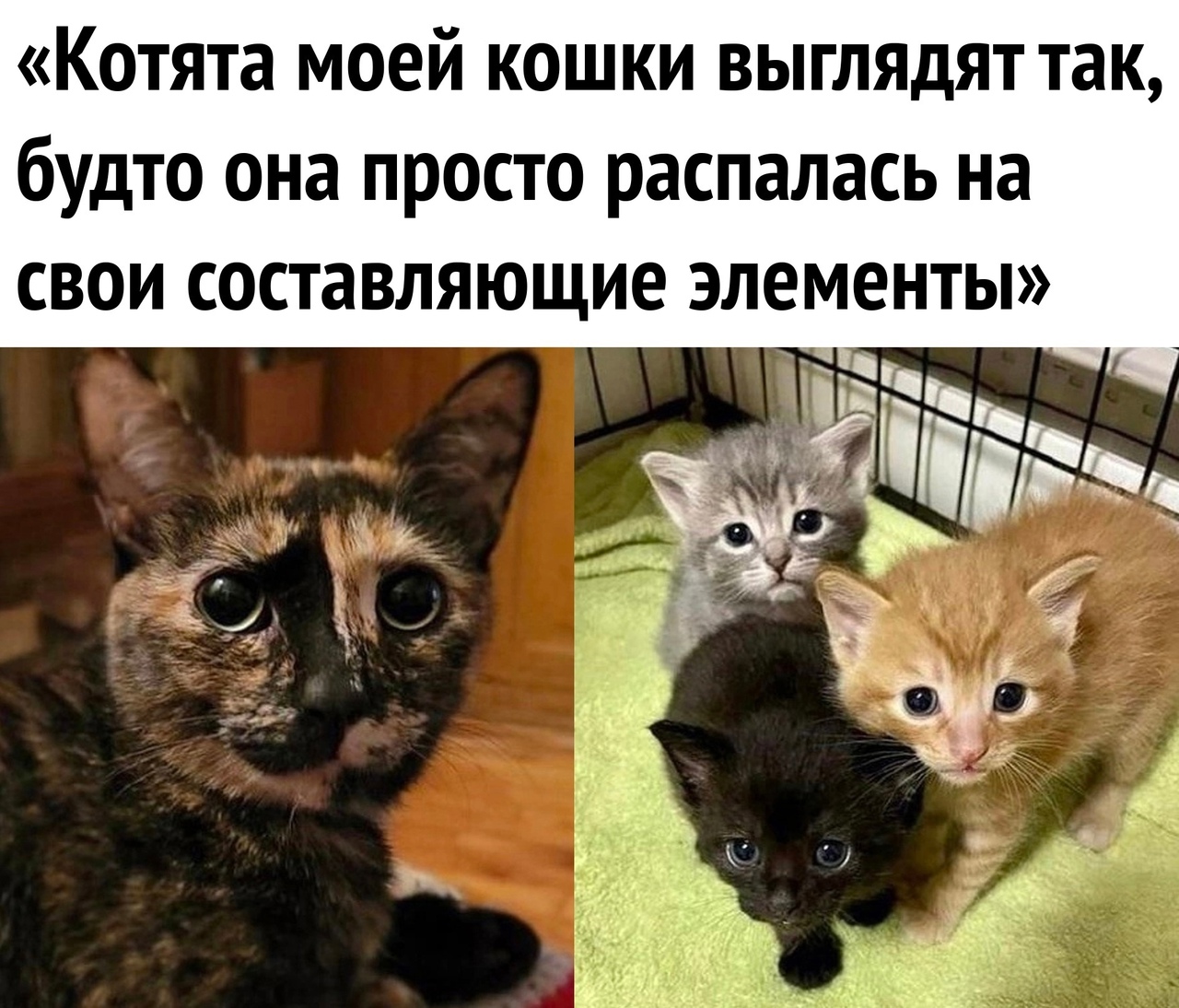 pxckdeAr4jlw.jpg