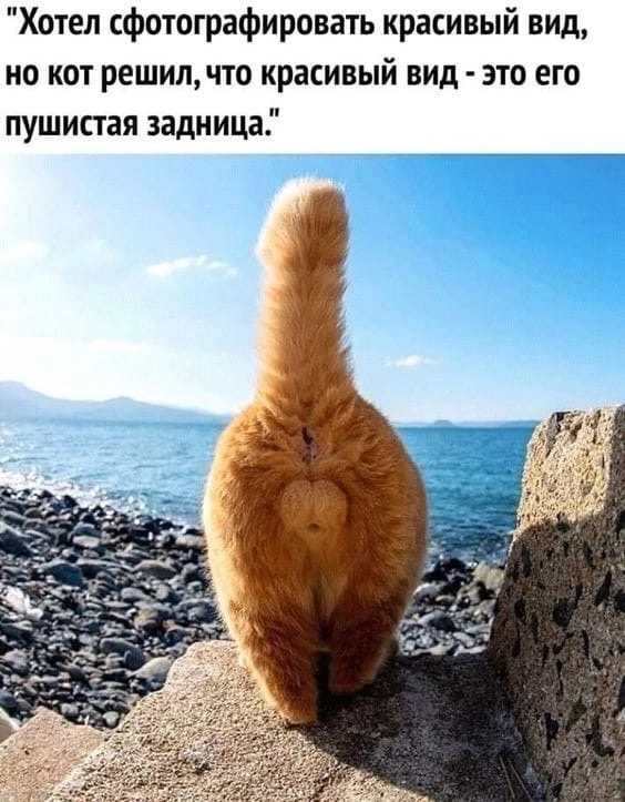 NAyVUDgqQe8.jpg