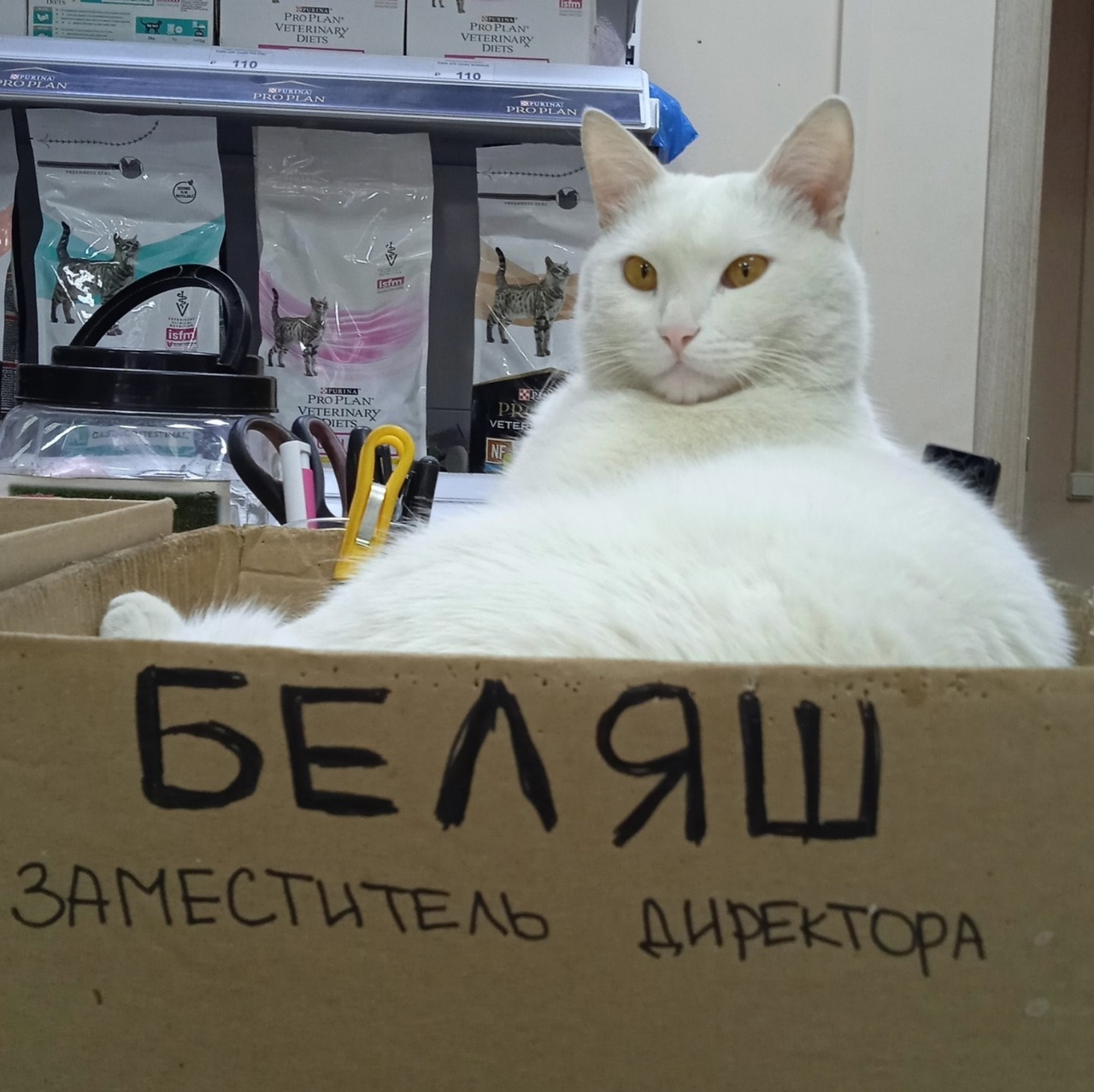 Me6vn45veSI.jpg