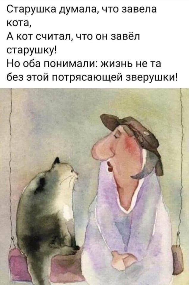 z.jpg