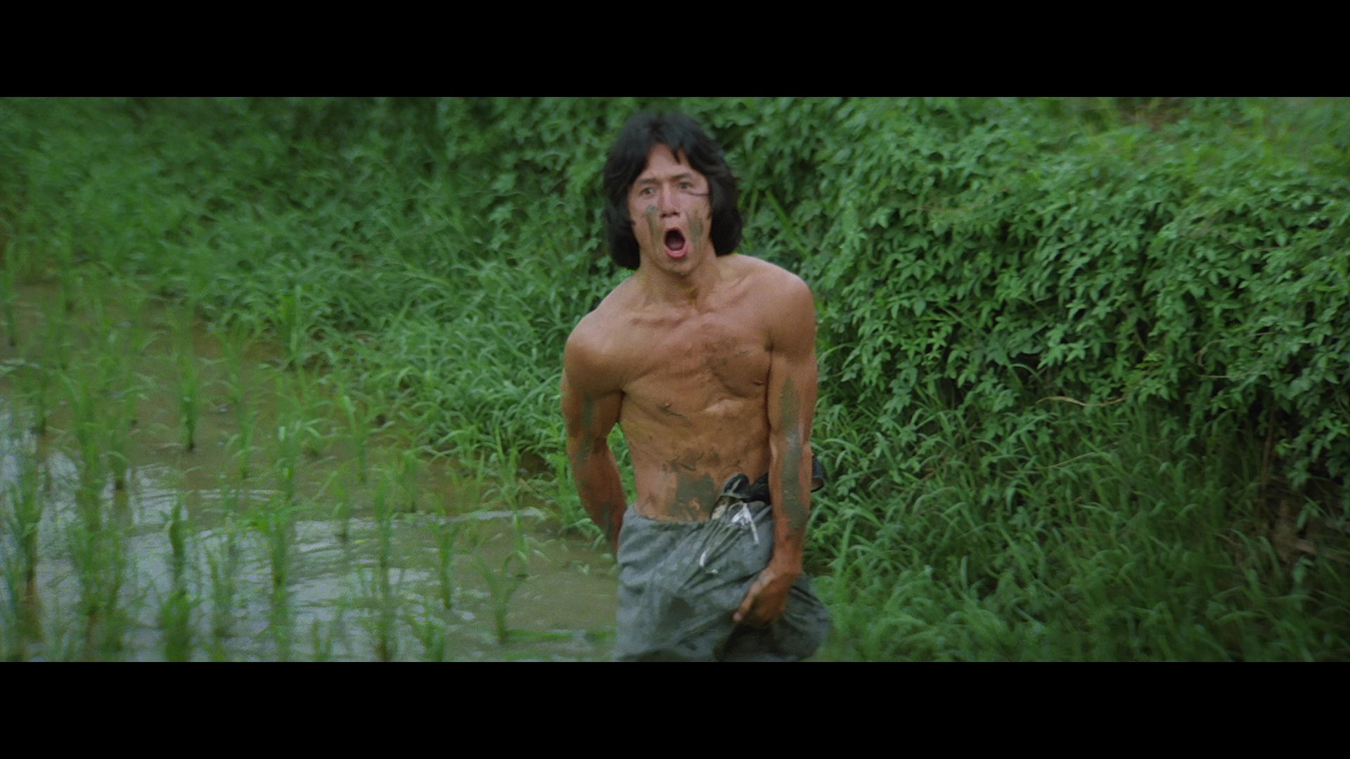 Spiritual.Kung.Fu.1978.88Films.Remastered.BDRemux.1080p[(020733)10-55-49].PNG