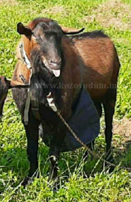 Граф 2 irinashlyk.jpg