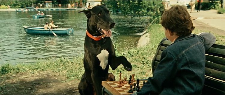 Ералаш №34. В мире шахмат, 1982