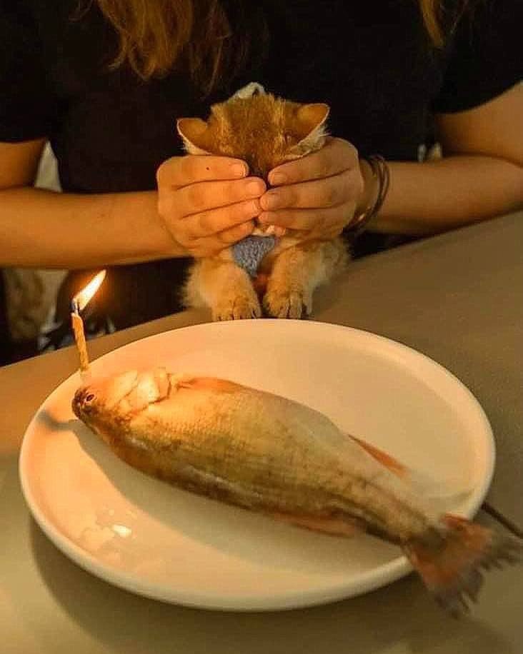 lgSdMFzQmsc.jpg