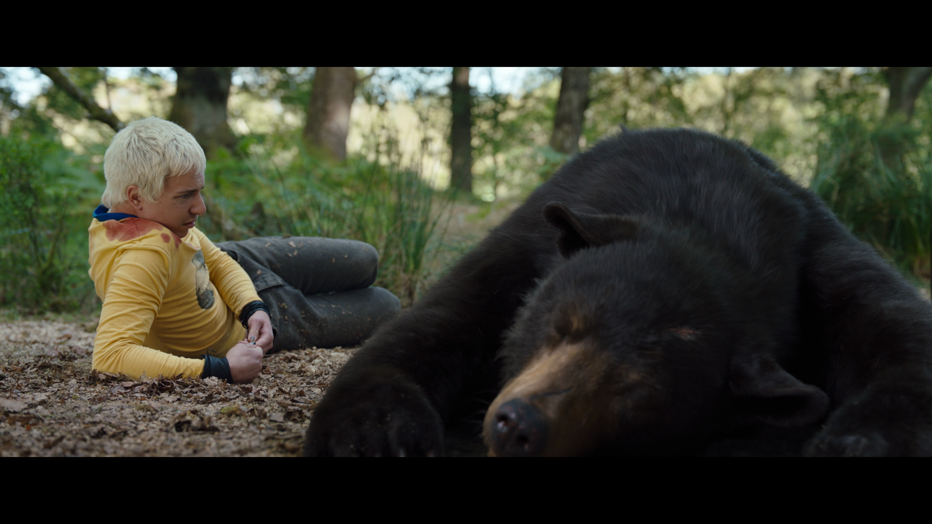 Изображение для Кокаиновый медведь / Cocaine Bear (2023) WEB-DL 1080p | TVShows (кликните для просмотра полного изображения)
