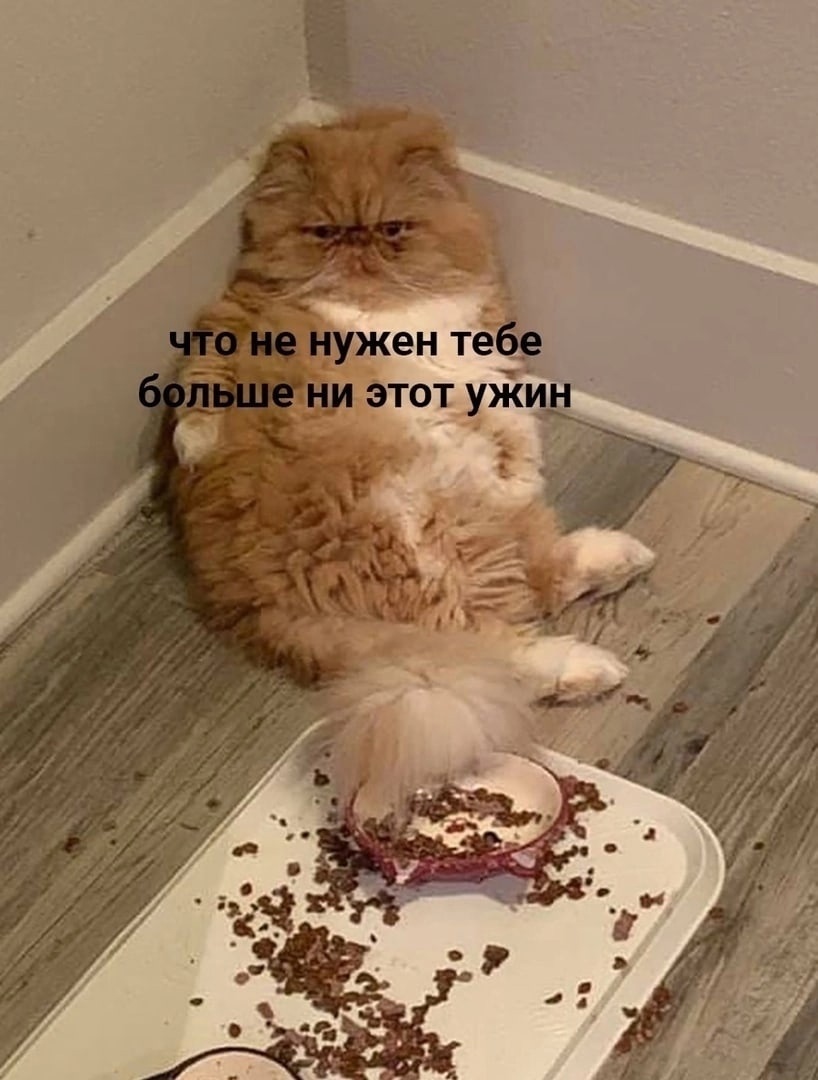 02.jpg