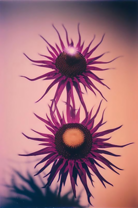 a6b7d0126ee4e0e5c9166161cfdf4407.png