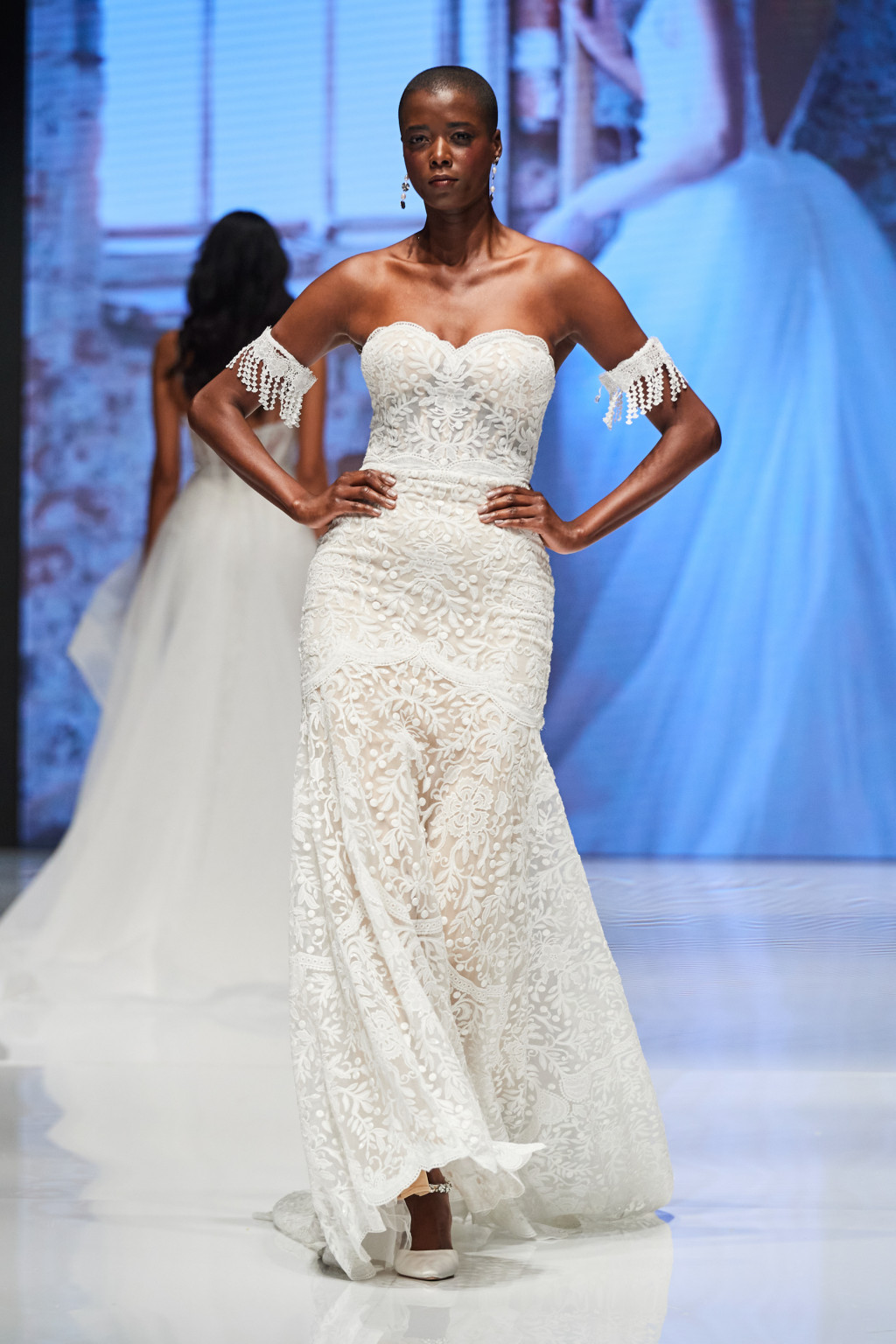 calla-blanche-brd-s24-003.jpg