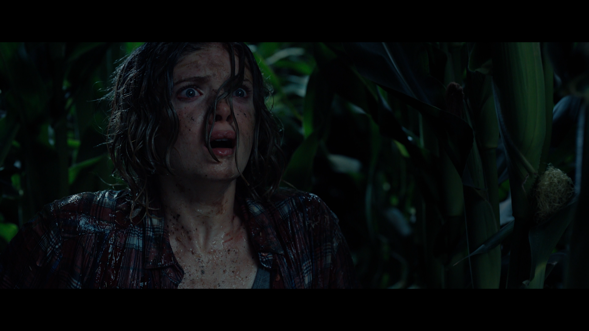 Children.of.the.Corn.2020.1080p.BDREMUX.AVC-Нечипорук.mkv_snapshot_01.12.21.214.png