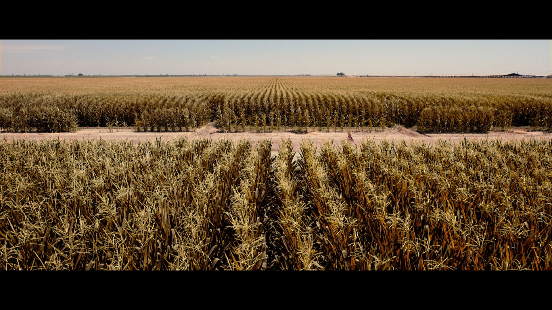 Children.of.the.Corn.2020.1080p.BDREMUX.AVC-Нечипорук.mkv_snapshot_00.17.20.580.png