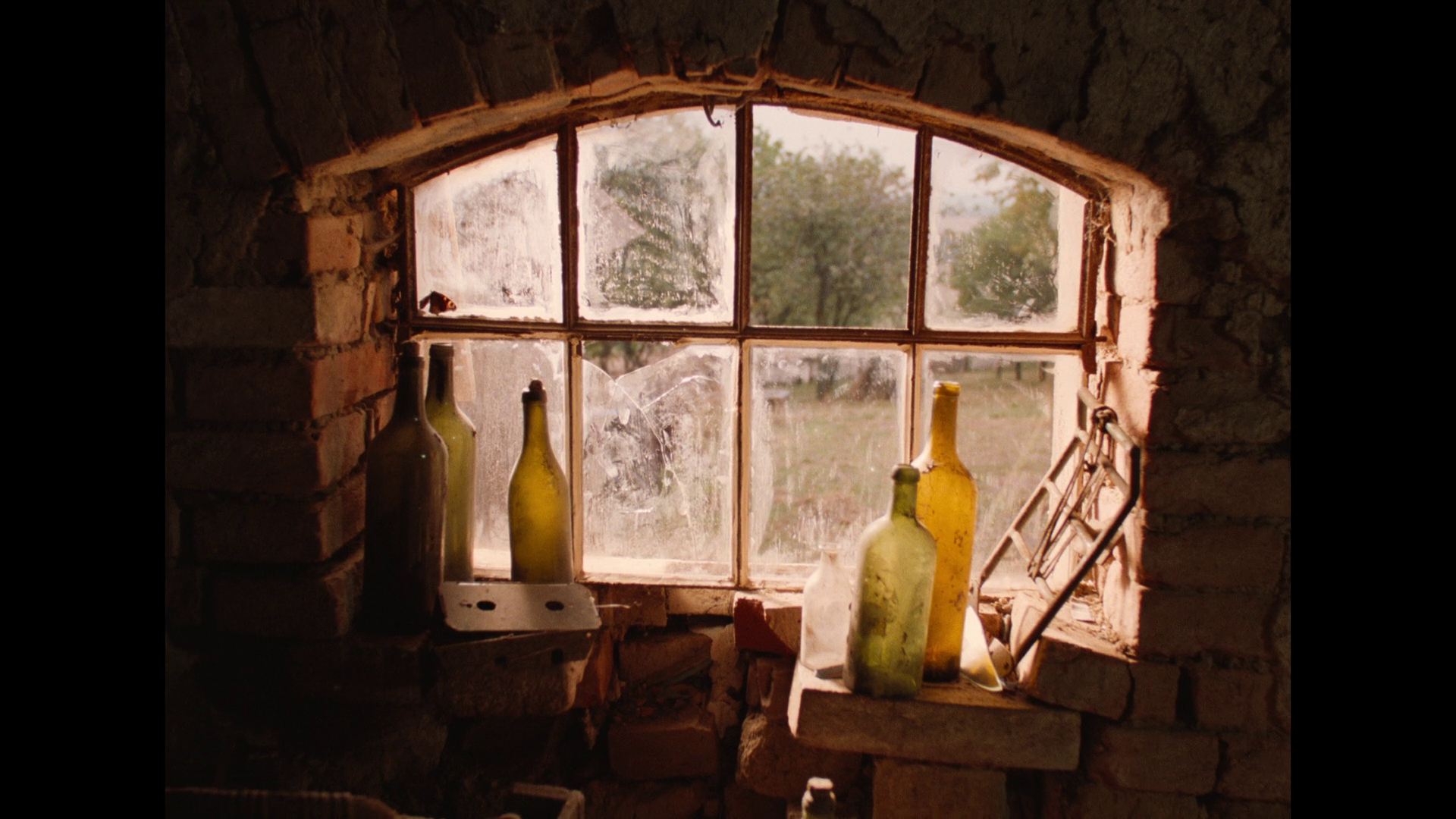 vlcsnap-2023-06-02-00h12m29s978.png