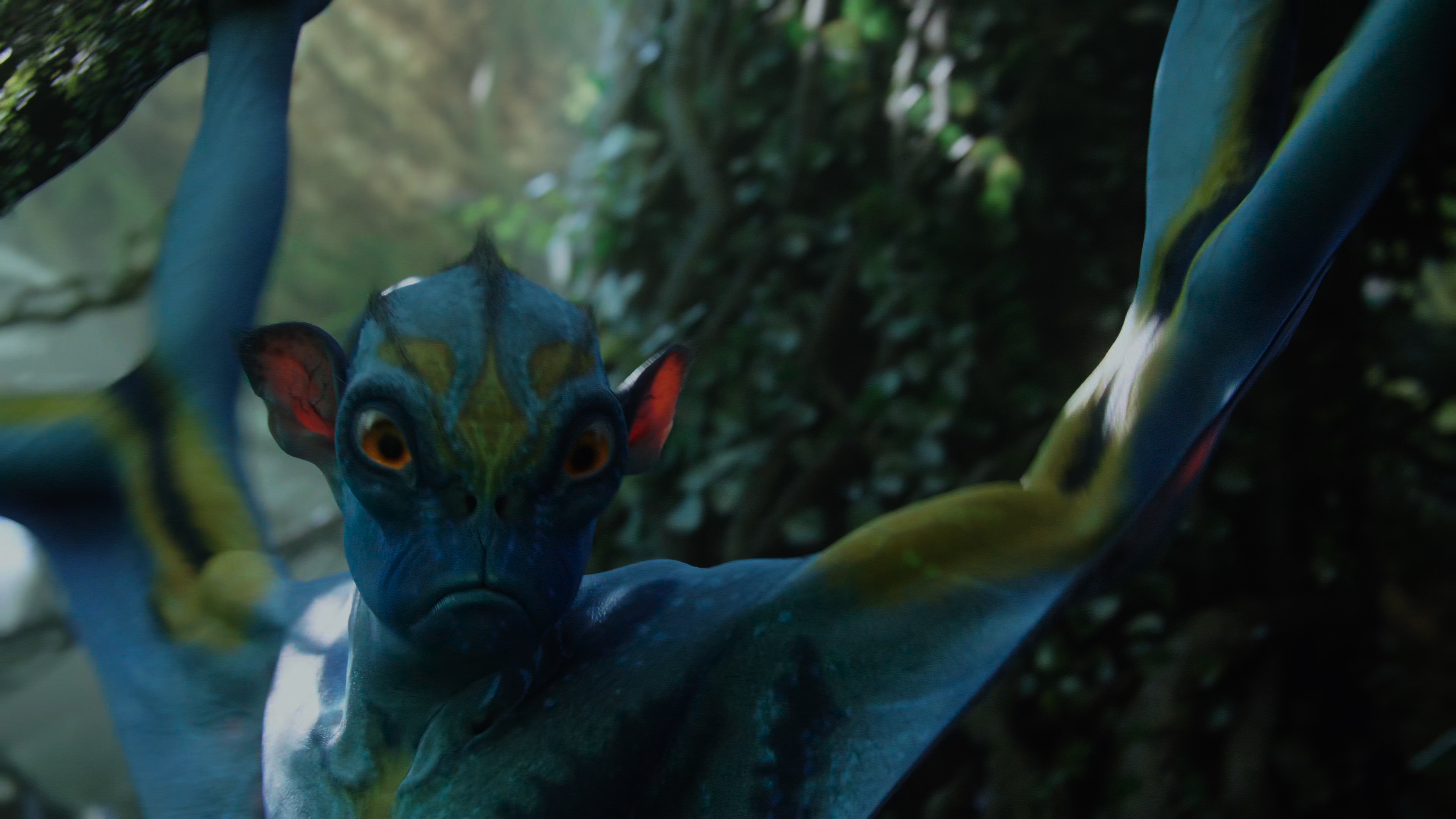 Аватар (Avatar) 2009.mkv_snapshot_00.26.01.560.jpg