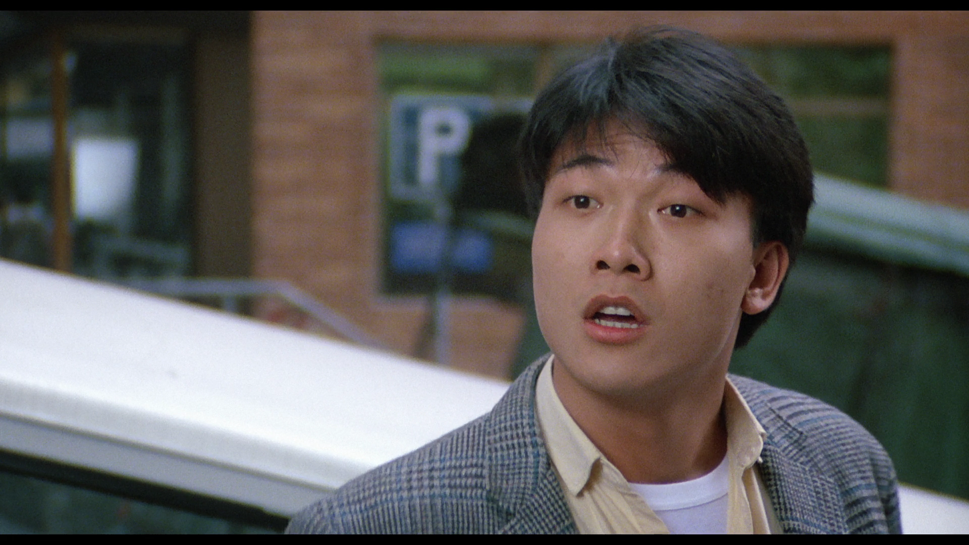 The.Blonde.Fury.1989.Eureka.BDRemux.1080p[(068794)2023-07-15-18-09-06].PNG