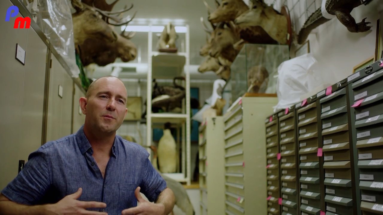 S1 E4 - The Imperfect Brain.mp4_snapshot_08.01.644.jpg