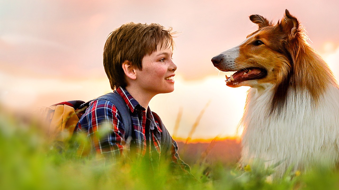 bigpicture_ru_3bb5218ff53e49038bcda5fb751f55.jpg