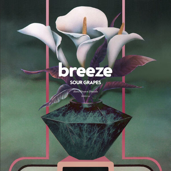 Breeze- Sour Grapes 2023 24Bit-44.1kHz [FLAC]  5ee01903b48f30cc19a2f645ccabbc19