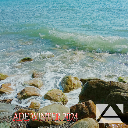 VA - Ade Winter (2024) MP3