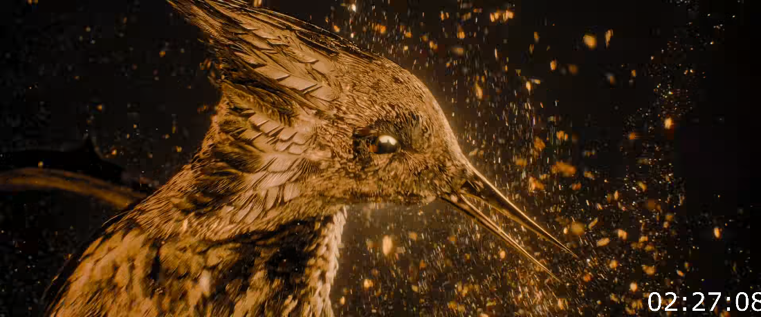 The Hunger Games The Ballad Of Songbirds Snakes (2023) [4K] [6 CH] B98cec0470169d8e81649033d9237d12