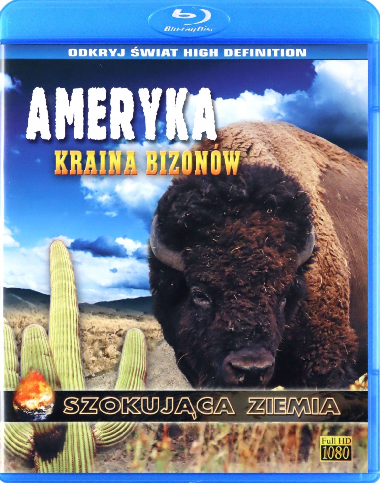 Szokująca ziemia: Ameryka. Kraina bizonów / Rounding Up Buffalo (2008) PL.720p.BDRip.XviD.AC3-ELiTE / Lektor PL