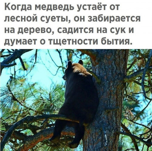 изображение_2024-04-14_143128880.png