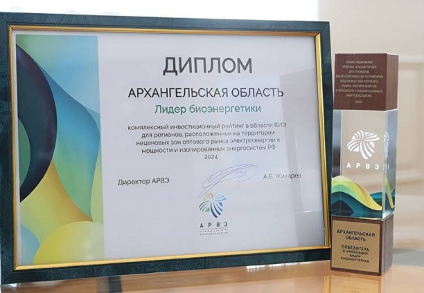 Архангельская область победила в номинации «Лидер биоэнергетики»