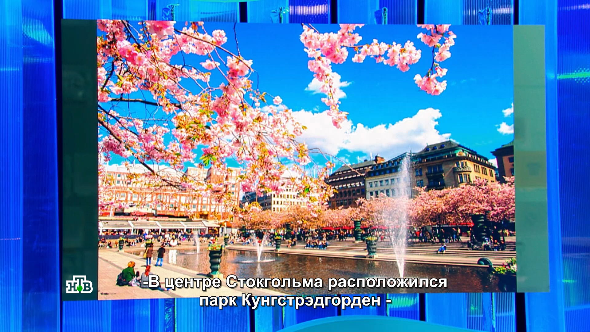 Svoya.Igra.2024-05-26.mkv_snapshot_04.00.233.png