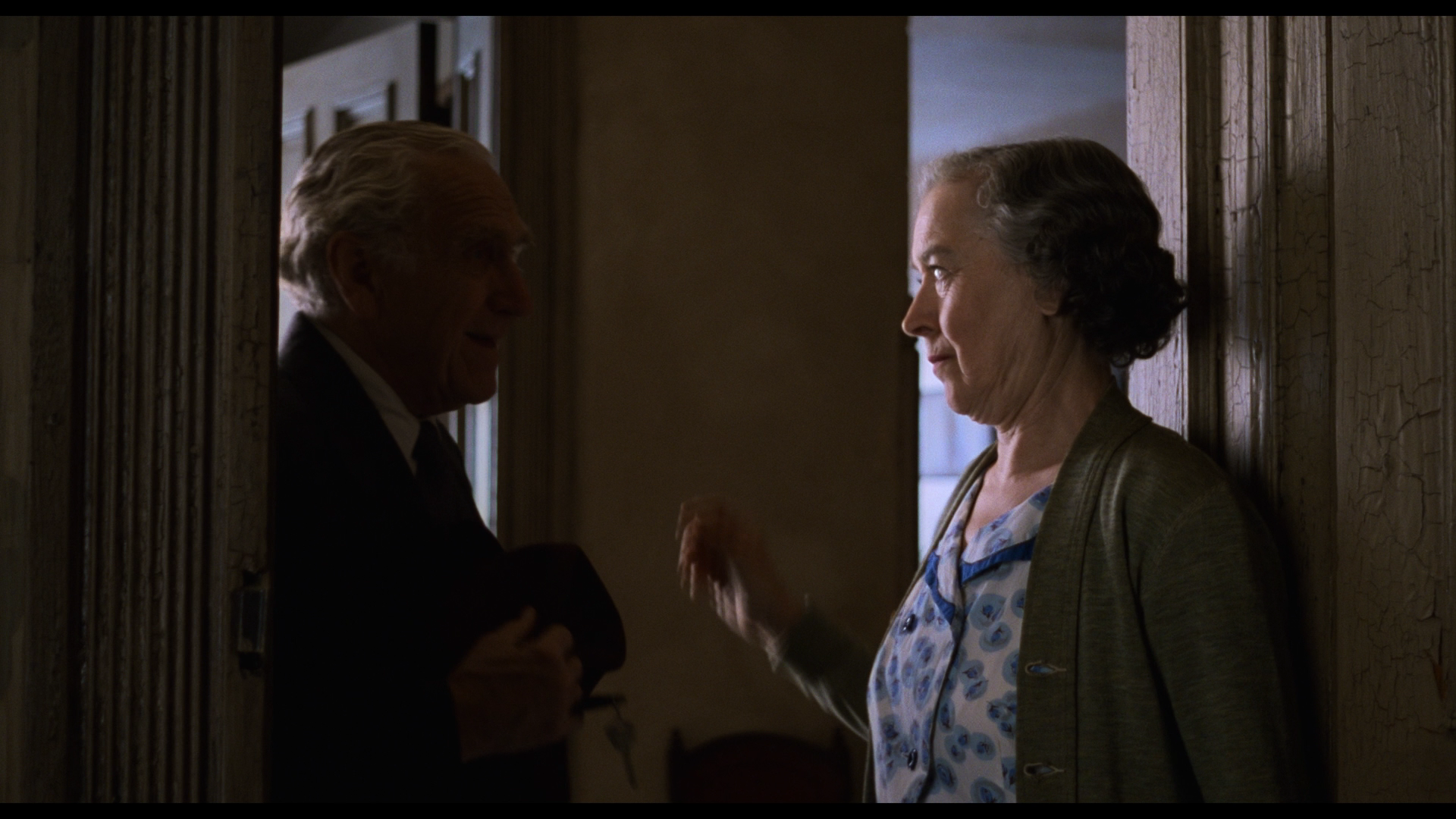 The.Shawshank.Redemption.1994.Warner Bros.BDRemux.1080p.Remastered[(089535)2024-07-07-09-27-22].PNG
