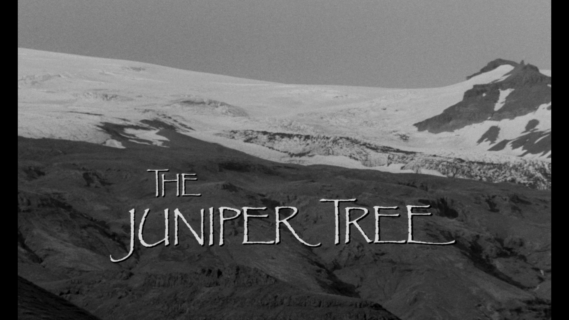 The.Juniper.Tree.1990.Arbelos.BDRemux.1080p[(007301)2024-09-02-02-37-20].PNG