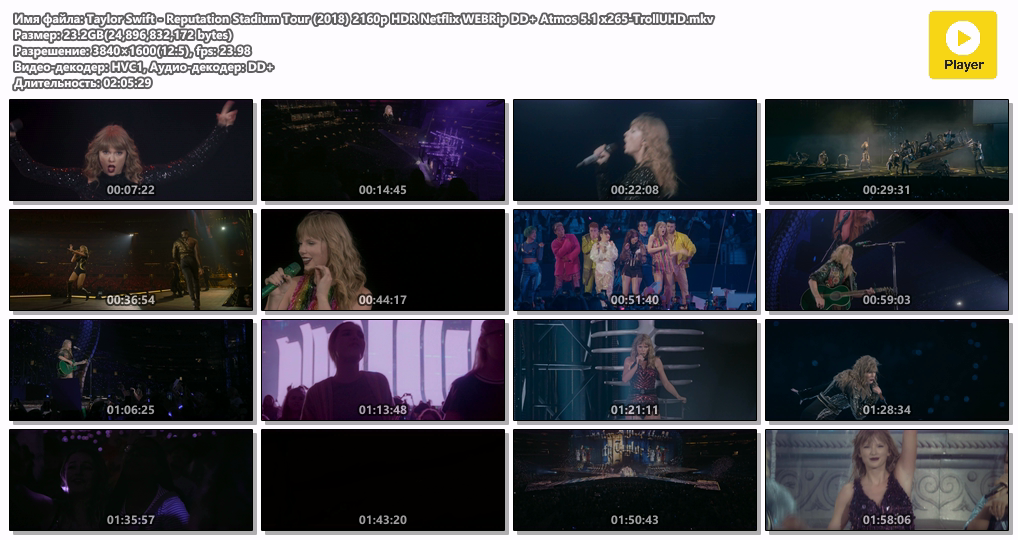 Taylor Swift - Reputation Stadium Tour (2018) 2160p HDR Netflix WEBRip DD+ Atmos 5.1 x265-TrollUHD.mkv.png