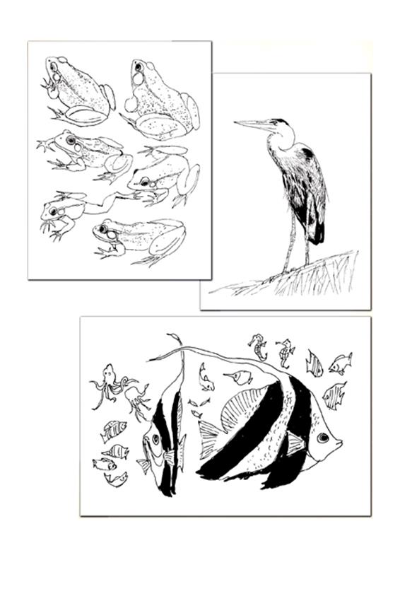 Pamela Wissman, Stefanie Laufersweiler (Ed.) - Sketchbook Confidential 2 - 2012_239.jpg