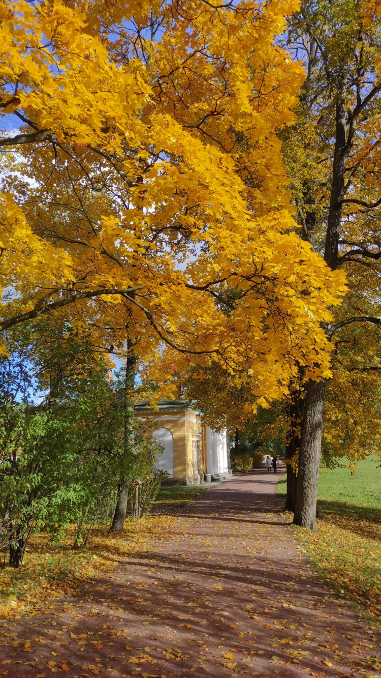 2024-10-12 12-33-13.JPG