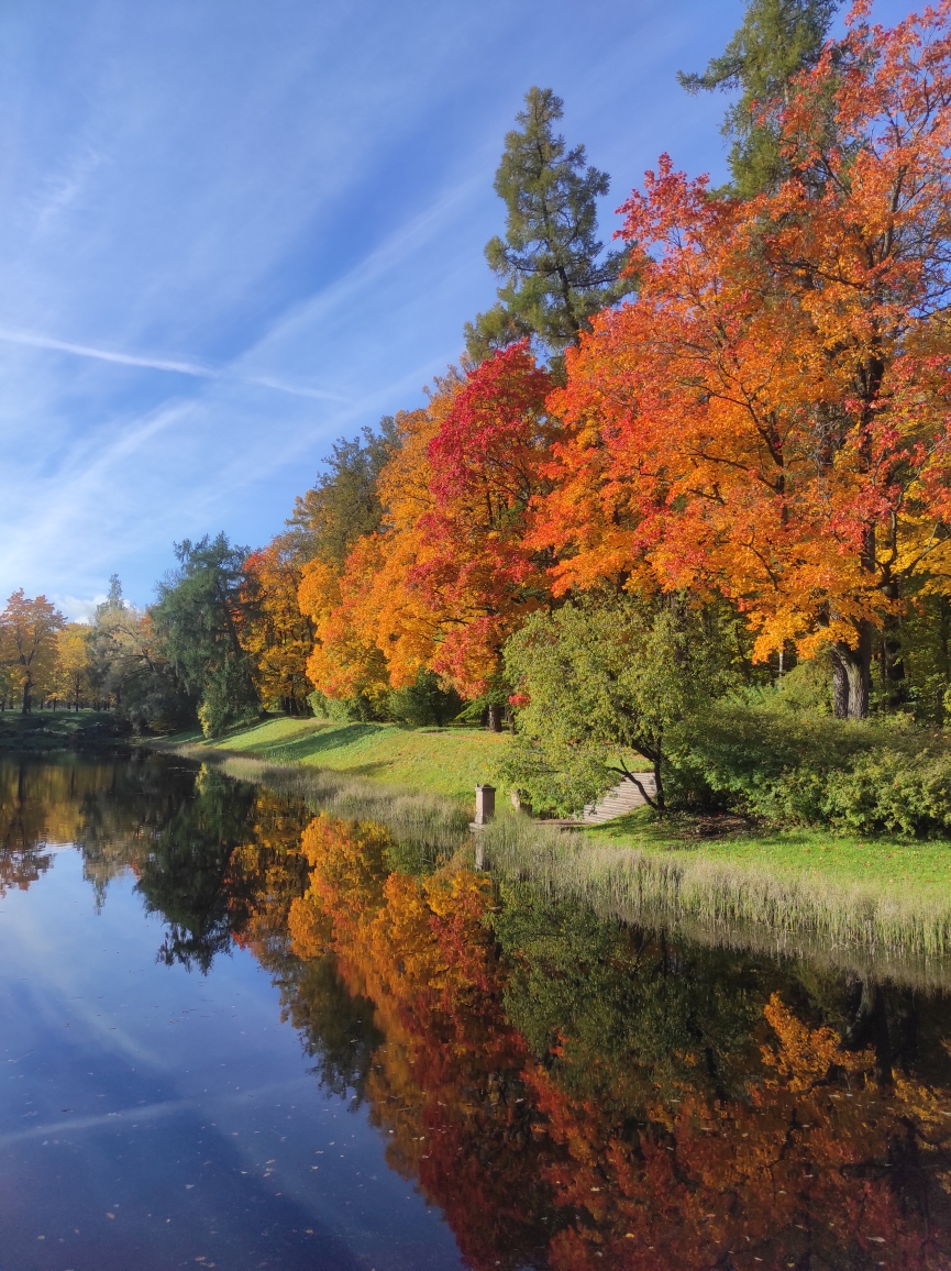 2024-10-12 11-09-35.JPG