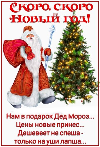 https://i2.imageban.ru/out/2024/12/28/bce0fce571a20b1536cf8df46853102a.jpeg