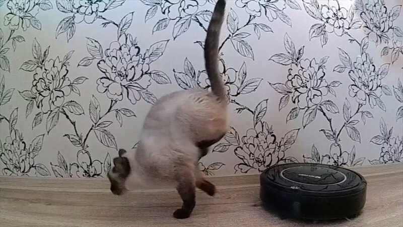 maxresdefault (10).jpg