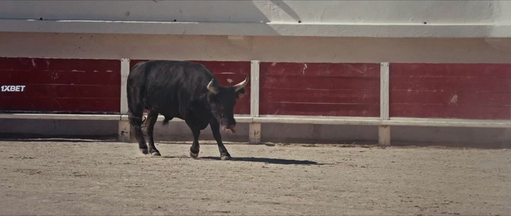 Animale.2024.Pa.WEB-DLRip.14OOMB.avi_20250303_084222.215.png