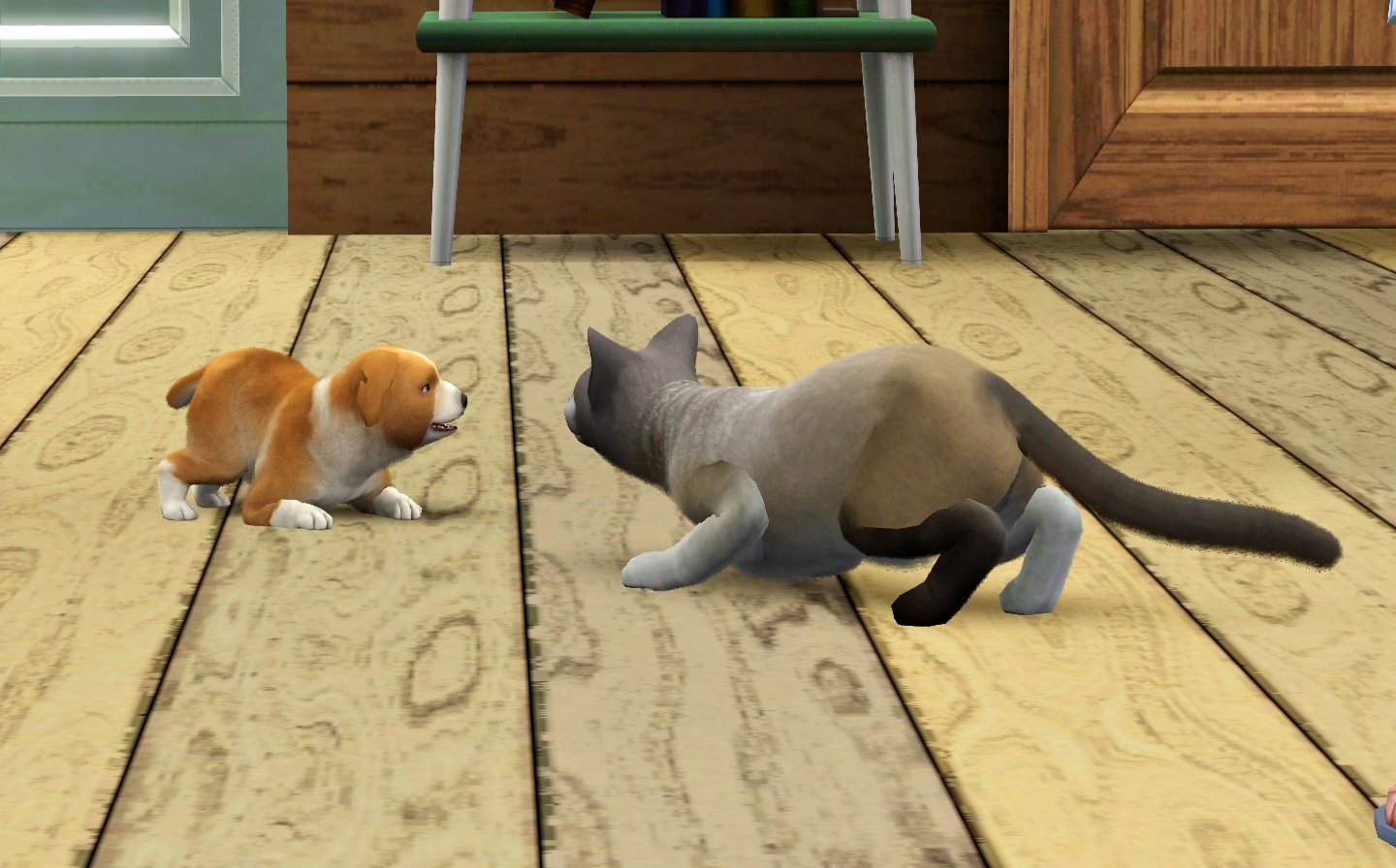 каир и шалун4.jpg