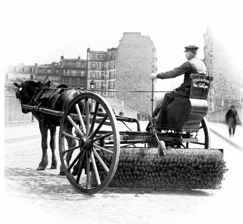 scale_1200 (31) (1).jpg