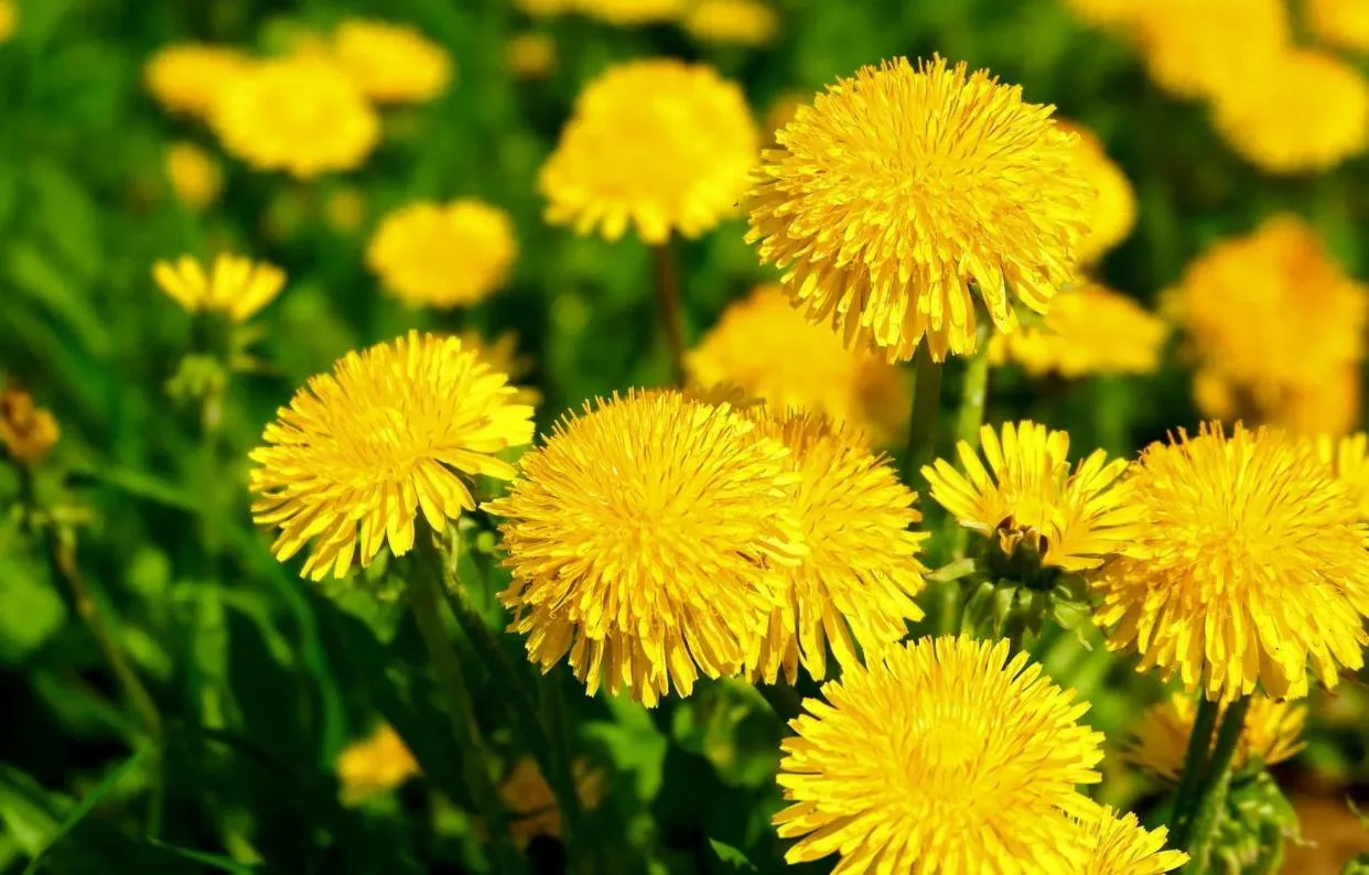 https://i2.imageban.ru/out/2025/05/13/6c8a8ba14dad81ce5c9043edd8831d85.webp