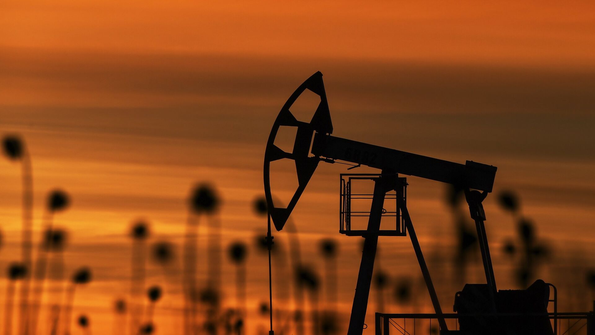 Россия и Афганистан подписали договор о добыче и переработке нефти