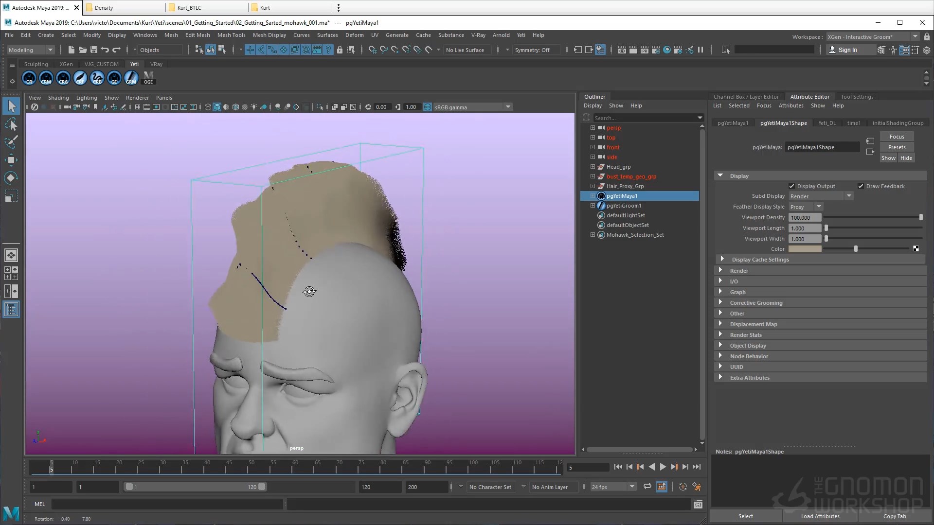 05. Viewport Display Settings.mp4_snapshot_00.51.727.jpg