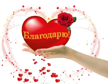 https://i2.imageban.ru/out/2025/06/08/81c10ce66212ec6ed513545bf9e5eb2e.webp