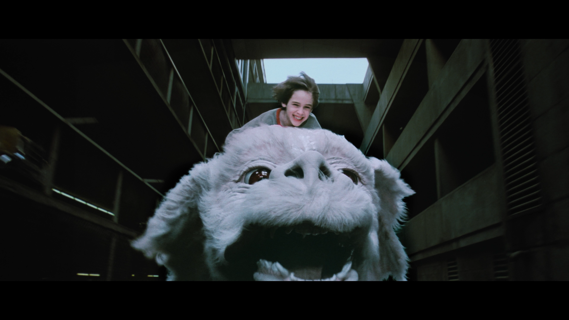 The.Neverending.Story.1984.Imprint.BDRemux.1080p.US.International.Cut[(130568)2025-06-08-13-44-07].PNG