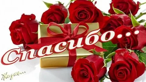 https://i2.imageban.ru/out/2025/06/09/44e7e1e0a8dee593388220295f536755.webp