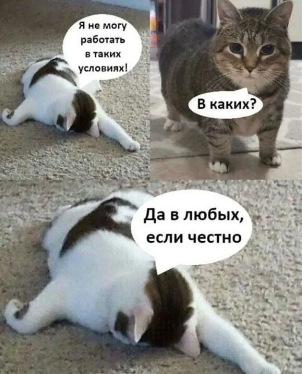 7bcd8d6b-74ee-4142-8f16-766b5e2e41d5.jpeg