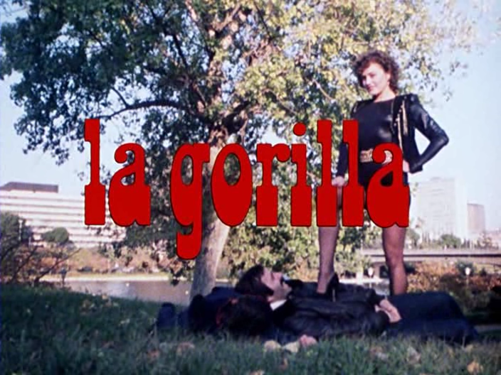 La gorilla 1982004088.png